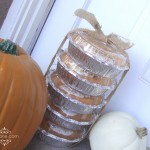 pumpkin cheesecake ecstacy recipe lolly jane