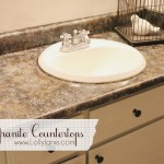 DIY Granite Countertops by LollyJane