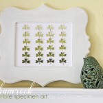 Shamrock St. Patricks Day ombre specimen art by Lolly Jane