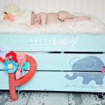 DIY Crate Casters LollyJane ToyBox