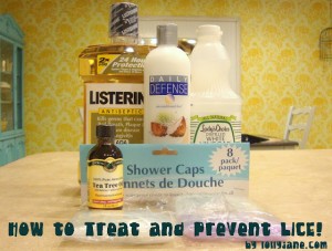 how to treat and prevent lice by lolly jane