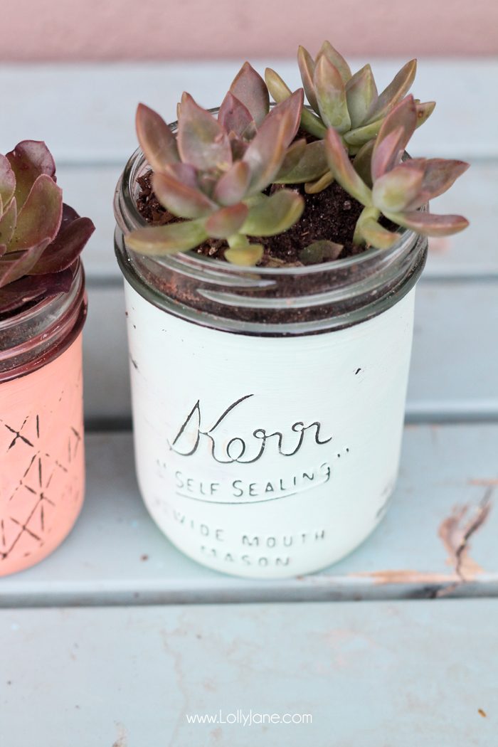 Love these chalky painted mason jar potted succulents. Cute! (and includes a free gift tag printable!) via lollyjane.com