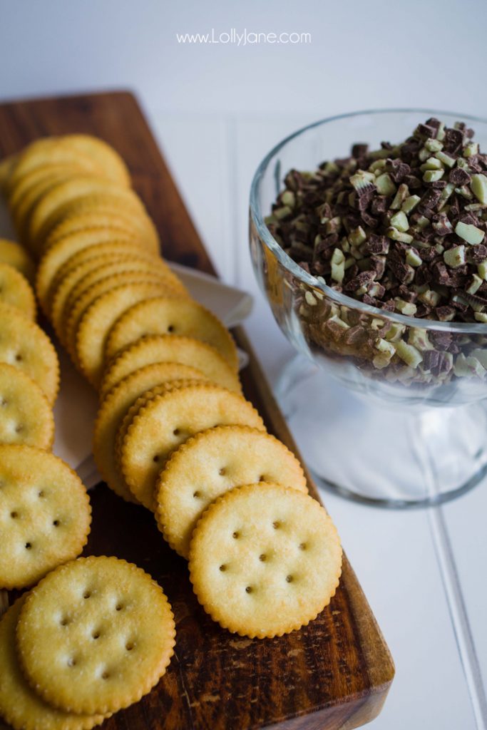 Easy Knock-Off Homemade Thin Mint Girl Scout Cookie recipe!