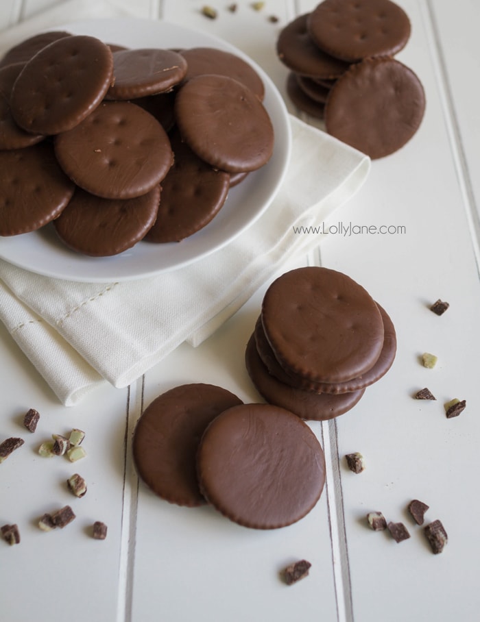 Easy Knock-Off Thin Mint Girl Scout Cookie recipe! Just TWO ingredients, SOOO good!