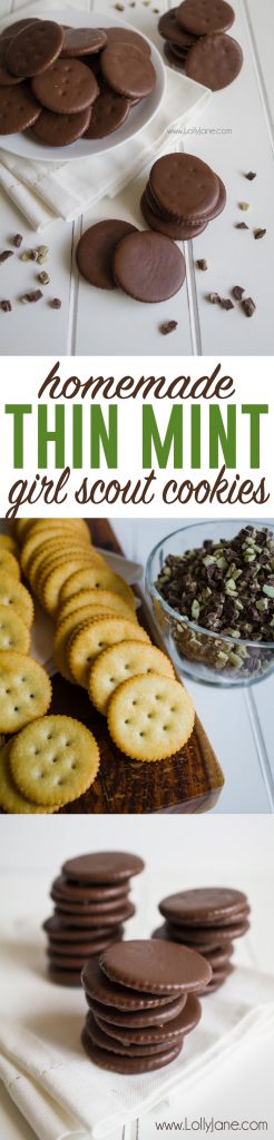 Easy Knock-Off Thin Mint Girl Scout Cookie recipe! Just TWO ingredients, SOOO good!