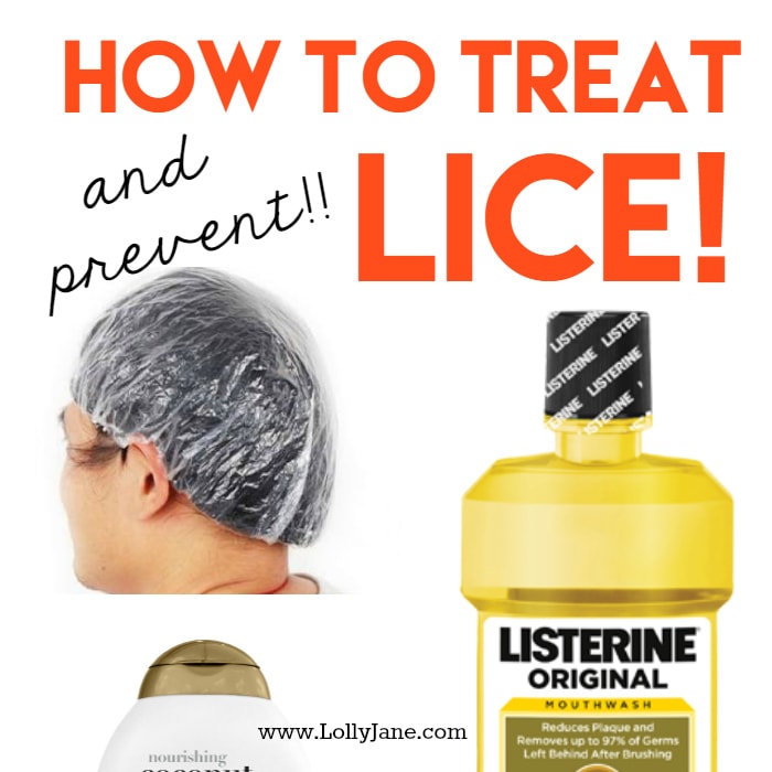 How to treat lice!! How to prevent lice! You may have all of these household items laying around your home. Safeguard yourself and kids before they invade! How to treat and prevent lice!