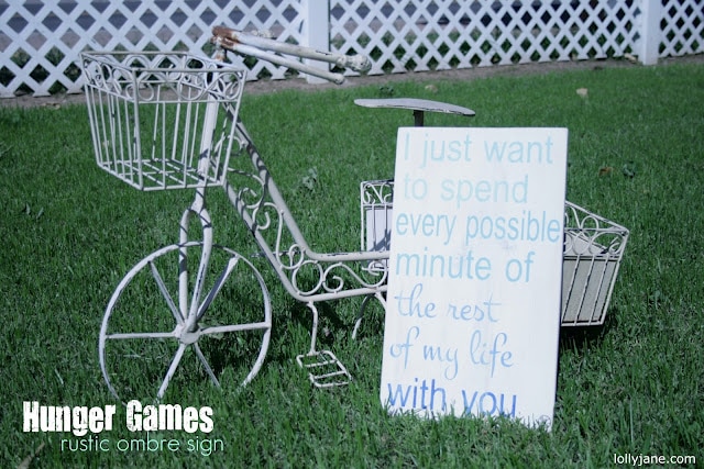 Rustic Hunger Games Ombre Sign