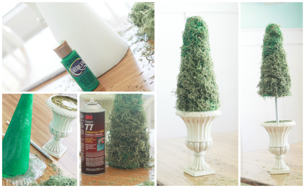 DIY topiary