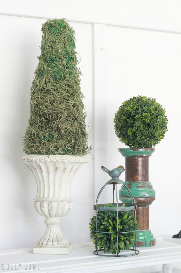 DIY moss topiary