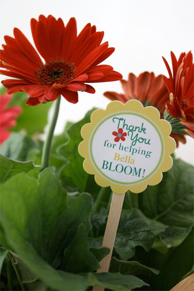 Skip To My Lou teacher gift via LollyJane.com #teacherappreciation