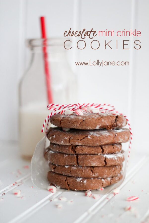 Chocolate Mint Crinkle Cookies #shop