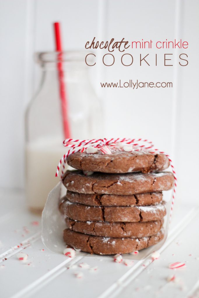 Chocolate mint crinkle holiday cookies