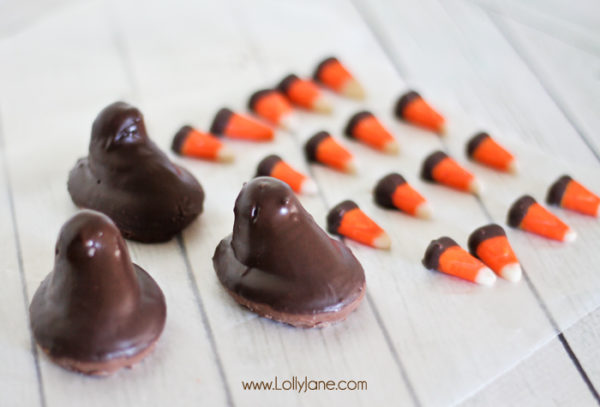 Chocolate dipped turkey PEEPS treat