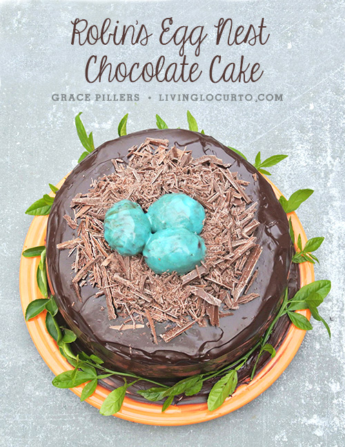 Robin's Egg Nest Chocolate Cake + 26 other cute Easter/spring ideas! via lollyjane.com