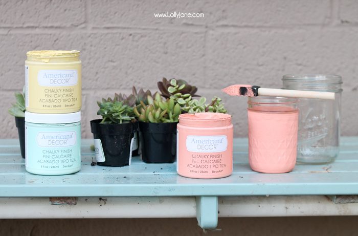 Gorgeous succulents! See how lollyjane.com transformed them with chalky paint!