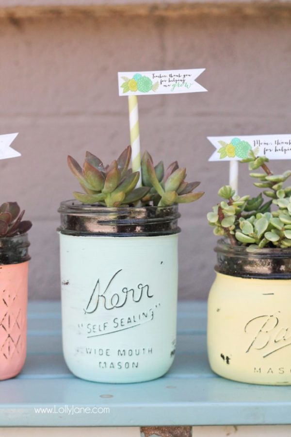 DIY mason jar succulent pots with free printable gift tags. Perfect for Mothers Day or Teacher Appreciation!