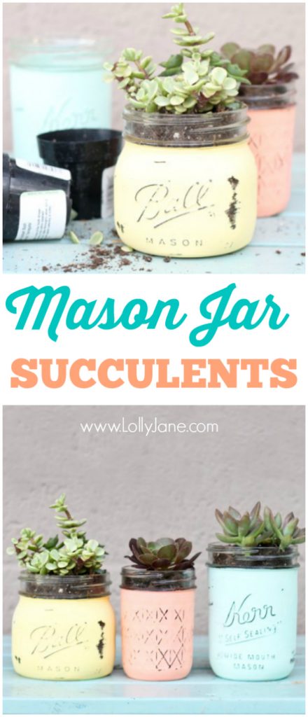 DIY mason jar succulents. So easy and pretty. Great gift idea!! |via www.lollyjane.com
