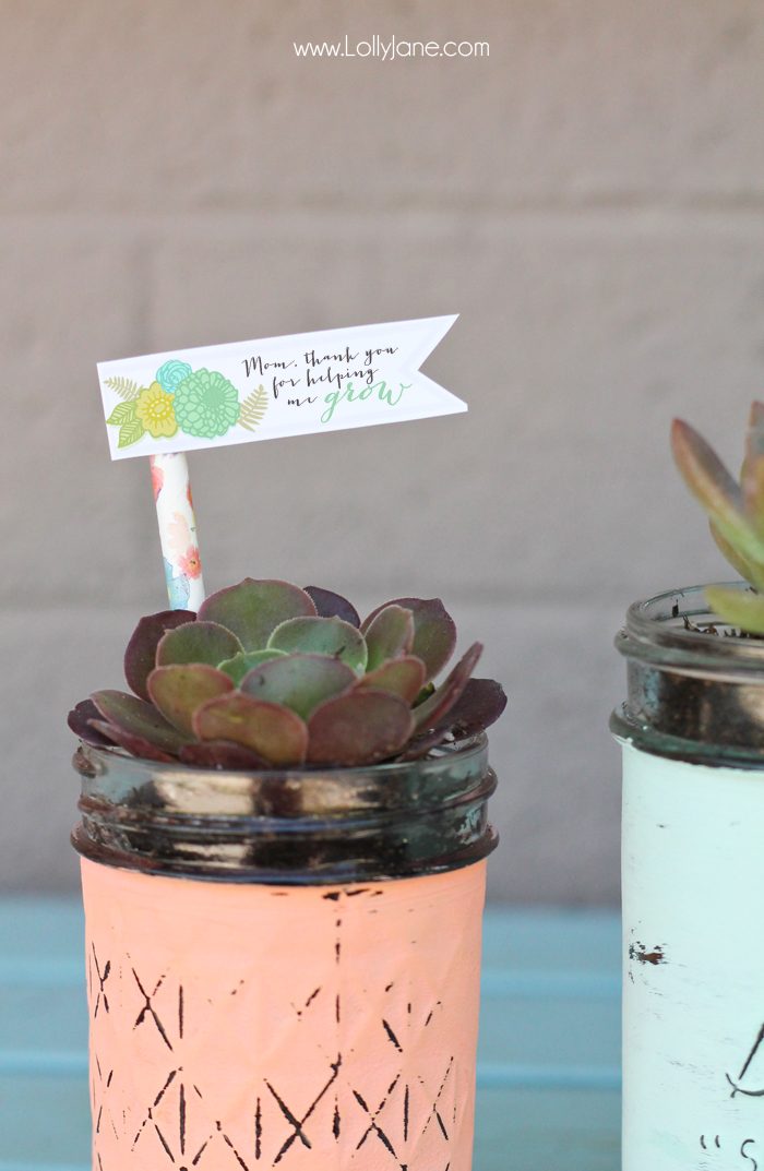 DIY mason jar succulent pots with free printable gift tags. Perfect for Mothers Day or Teacher Appreciation!