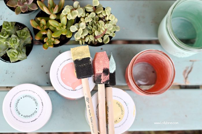 Gorgeous succulents! See how lollyjane.com transformed them with chalky paint + old mason jars!