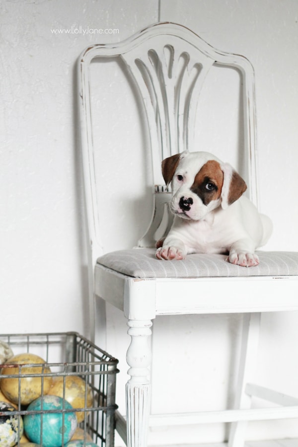 chalky finish chair makeover