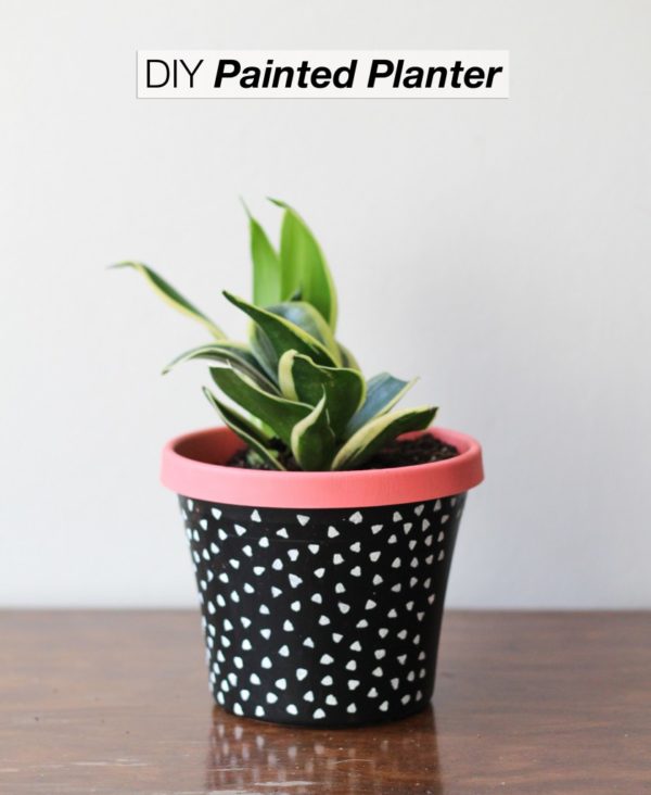 DIY Painted Planter