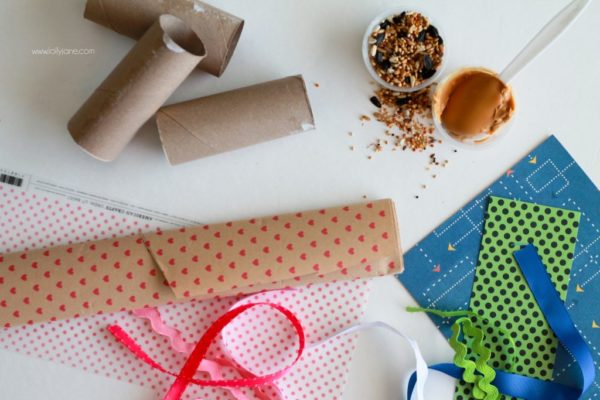 DIY rocket bird feeder... from scrapbook paper and a toilet paper roll! Great kids craft!