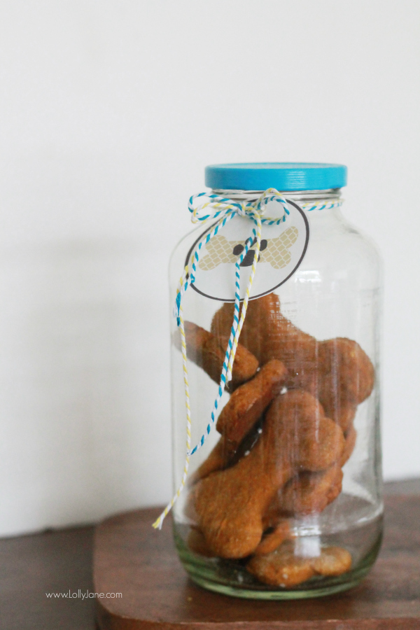 Easy homemade pumpkin dog treats recipe, great gift for your fur baby! Includes free printable pet gift tags! 