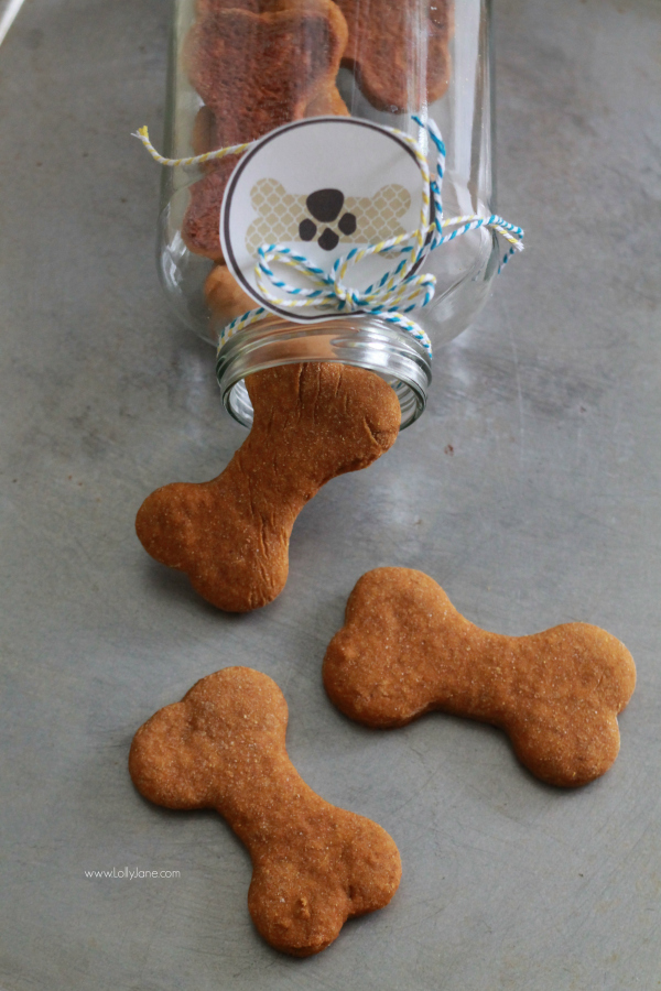 Easy homemade pumpkin dog treats recipe, great gift for your fur baby! Includes free printable pet gift tags! 