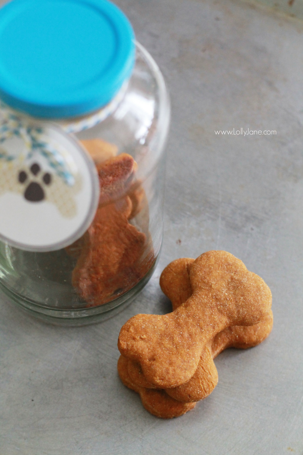 Easy homemade pumpkin dog treats recipe, great gift for your fur baby! Includes free printable pet gift tags! 