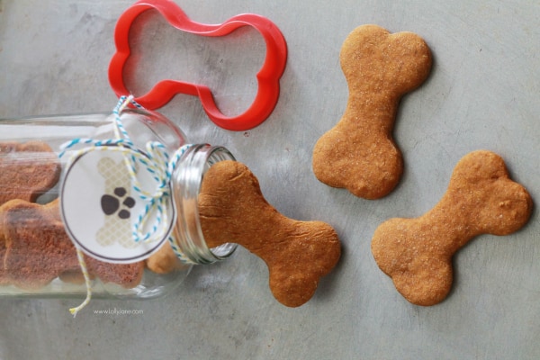 Easy homemade pumpkin dog treats recipe, great gift for your fur baby! Includes free printable pet gift tags! 