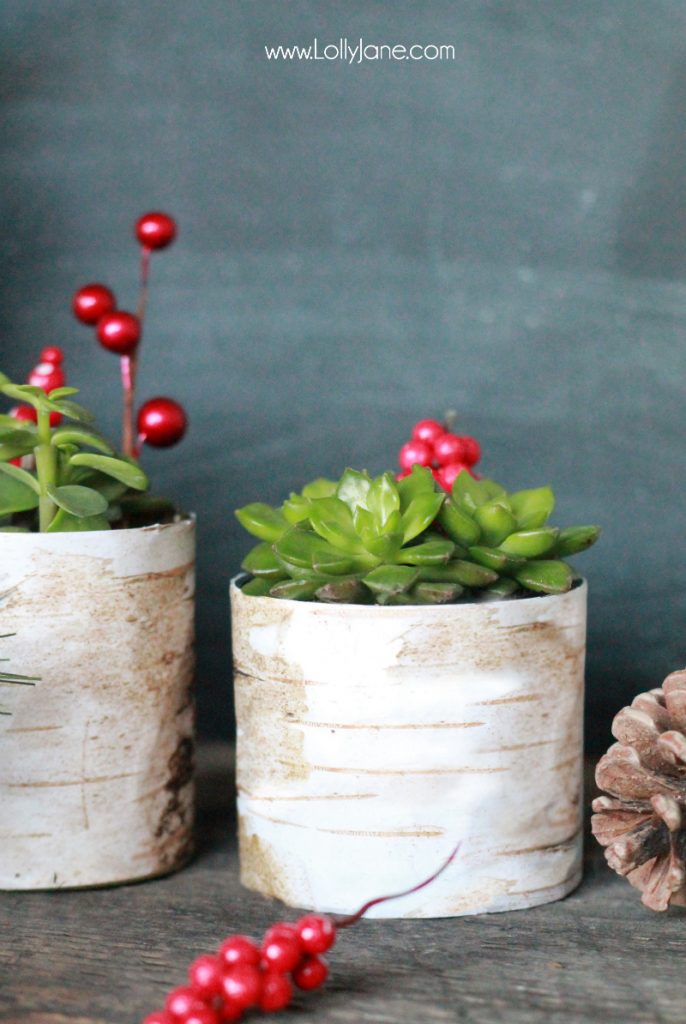 Simple Christmas decor, birch wood succulent planters |via lollyjane.com