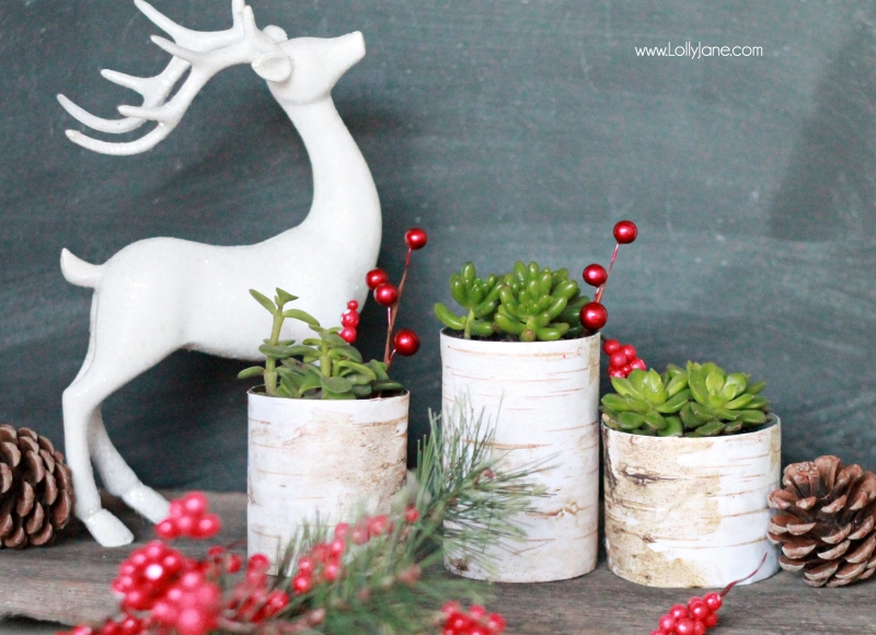 Simple Christmas decor, birch wood succulent planters |via lollyjane.com