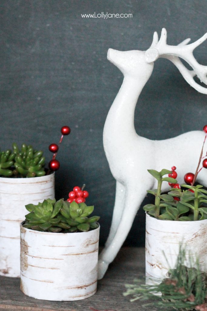 Simple Christmas decor, birch wood succulent planters |via lollyjane.com