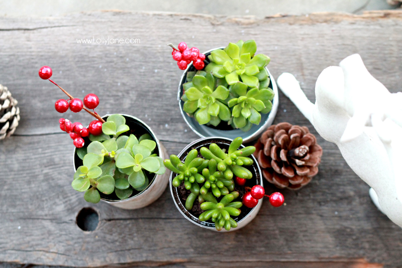 Simple Christmas decor, birch wood succulent planters |via lollyjane.com