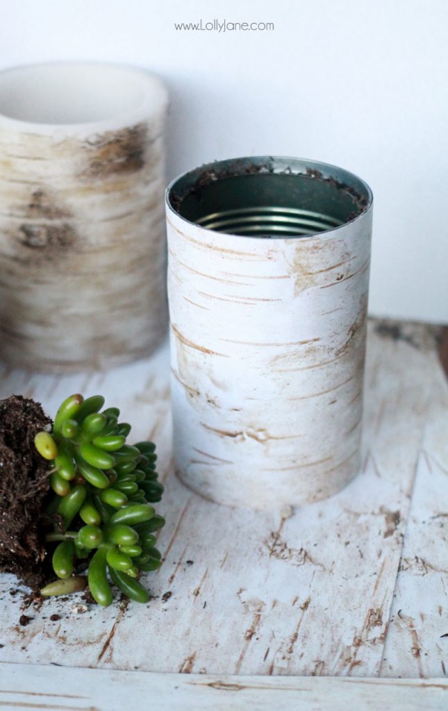 Simple Christmas decor, birch wood succulent planters |via lollyjane.com