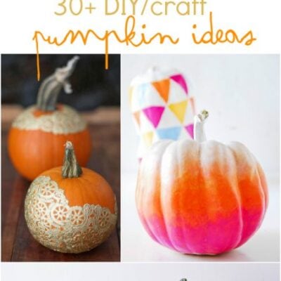 30+ DIY/craft pumpkin ideas