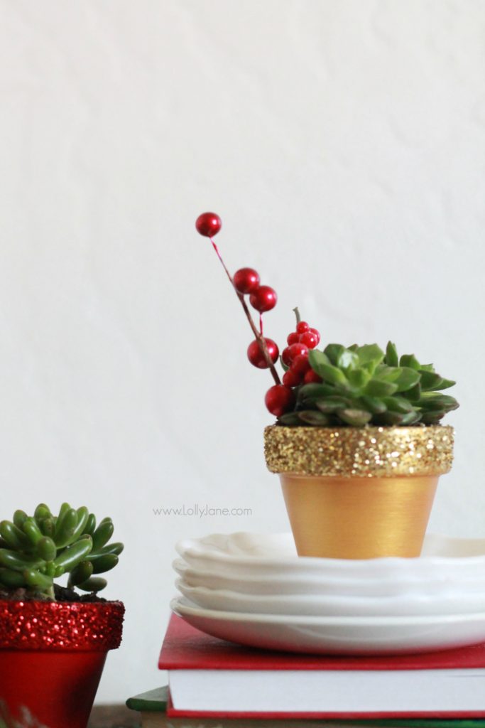 DIY glitter succulents | Easy Christmas decor idea, painted pots with glitter tops. 