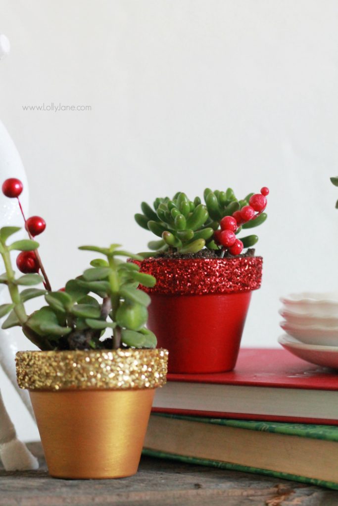 DIY glitter succulents | Easy Christmas decor idea, painted pots with glitter tops. 