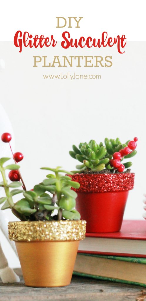 DIY glitter succulents | Easy Christmas decor idea, painted pots with glitter tops. 