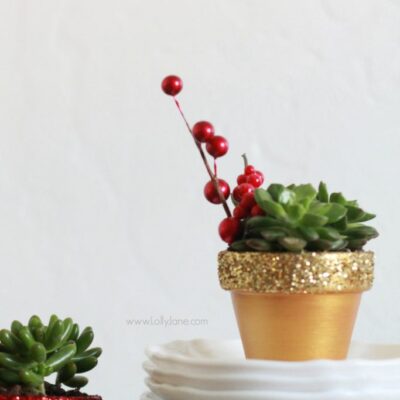 DIY | glitter succulent planters