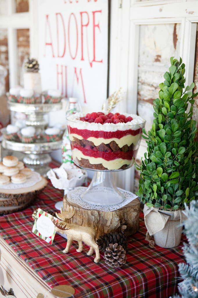 Vintage Christmas Party Ideas 