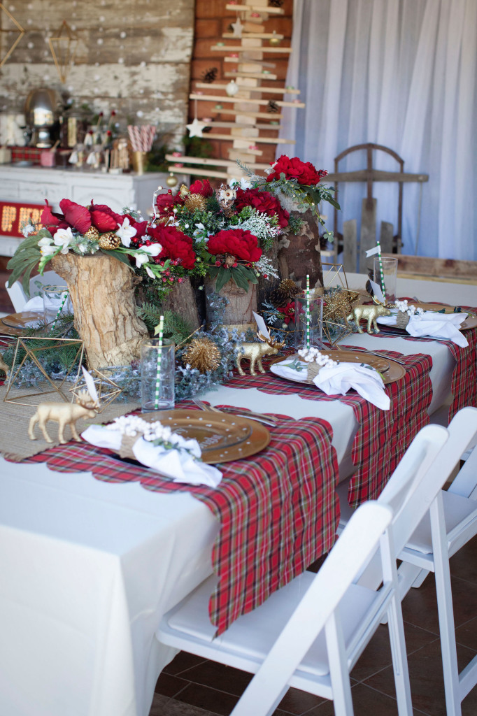 Modern Vintage Christmas themed party ideas, so pretty! Lots of Christmas decor ideas! 