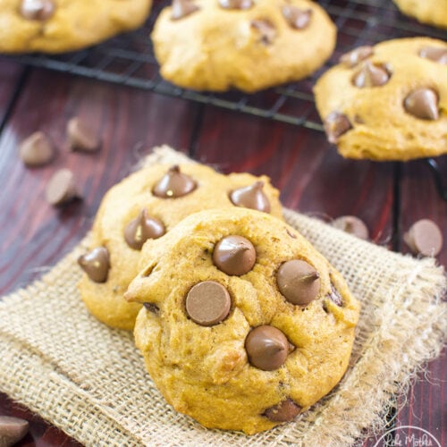 pumpkin chocolate chip cookies