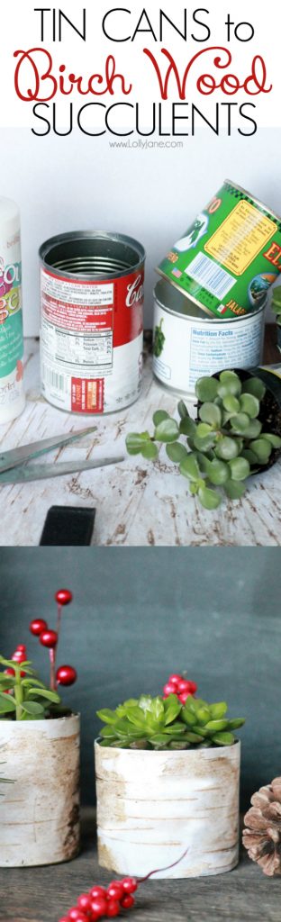 Upcycle tin cans into pretty succulent planters. | Easy birch wood tin can planter. Adorable fall decor, Thanksgiving table setting ideas or Christmas decor.