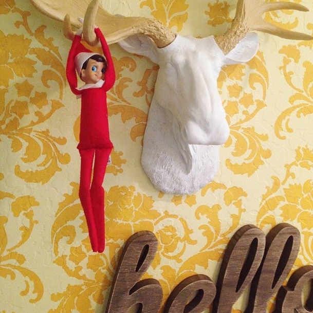 Elf on the Shelf idea!