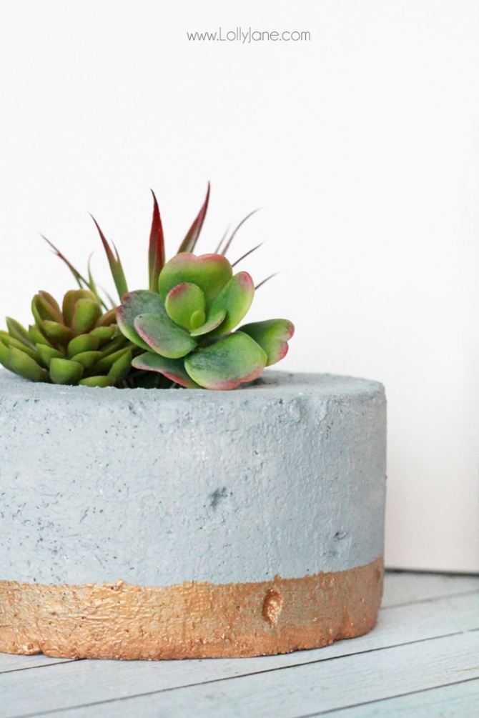 DIY Gold-Dipped Faux Concrete Succulent Planter.... so cool that it