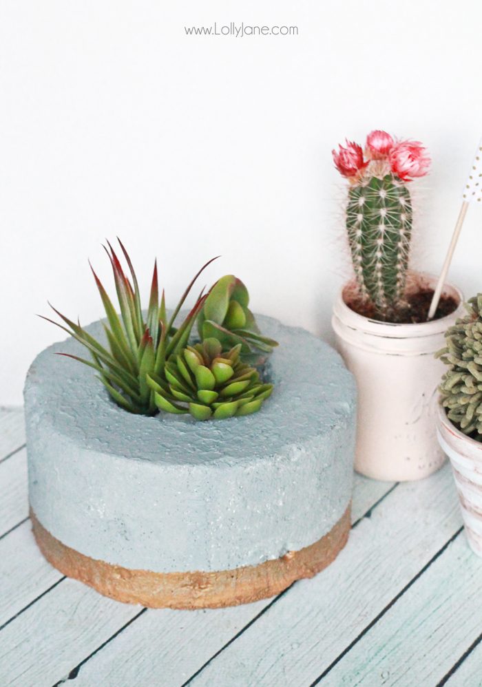 DIY Gold-Dipped Faux Concrete Succulent Planter.... so cool that it's made from styrofoam!!! Gotta try this!