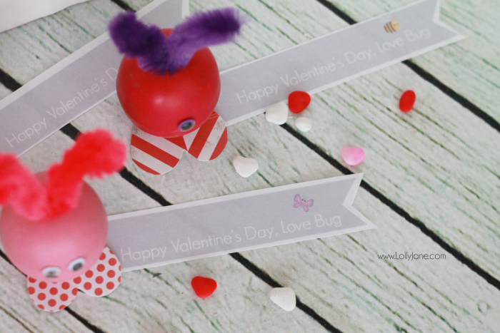 eEOS love bug Valentines, these are so dang cute and really easy to make!  Makes a fun Valentine gift, great for kids or a cute teacher gift or fun coworker gift as well! Click through for the final product! BONUS: Includes FREE printable tags!