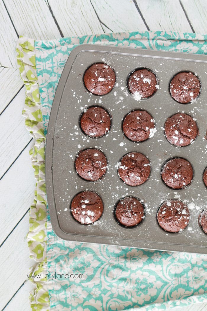 A healthier triple chocolate brownie bite. Lower fat but bigger taste!! A fast treat and great go-to dessert! YUM!