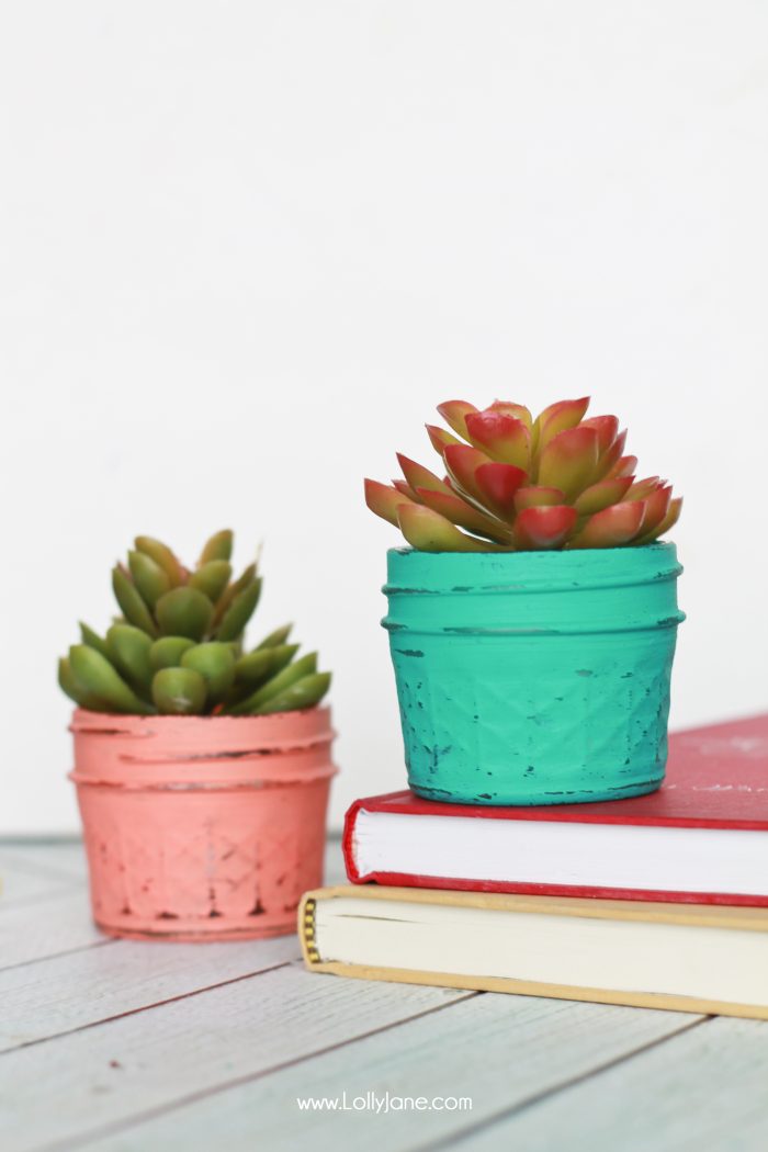 DIY Painted Planted Plastic Succulents... quick + easy DIY gift or decor! 